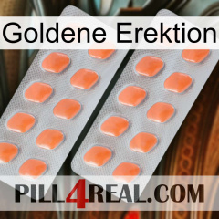 Golden Erection 27